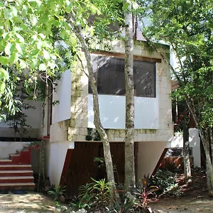 Casa Del Arbol At Duendes Campo de lujo